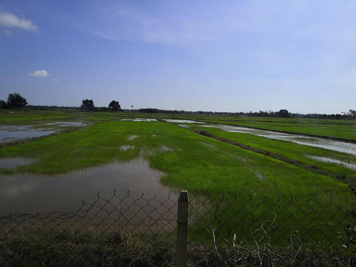 UMMI'S Homestay Besut Kampung Kuala Besut Luaran gambar